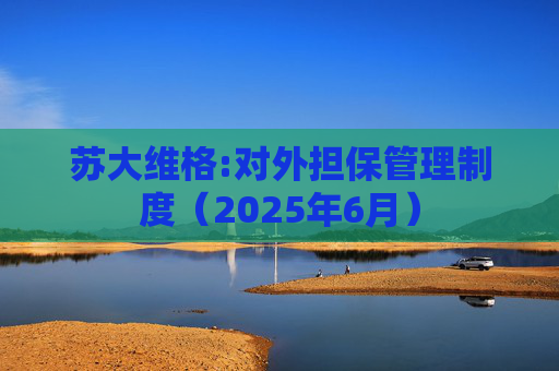 苏大维格:对外担保管理制度（2025年6月）