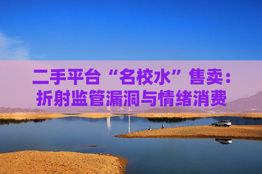 二手平台“名校水”售卖：折射监管漏洞与情绪消费