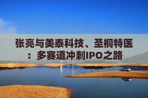 张亮与美泰科技、圣桐特医：多赛道冲刺IPO之路