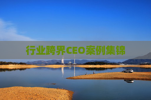 行业跨界CEO案例集锦