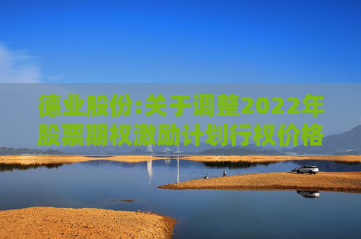 德业股份:关于调整2022年股票期权激励计划行权价格及数量的公告