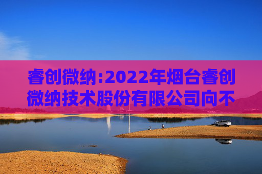 睿创微纳:2022年烟台睿创微纳技术股份有限公司向不特定对象发行可转换公司债券定期跟踪评级报告