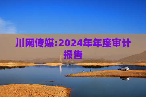 川网传媒:2024年年度审计报告