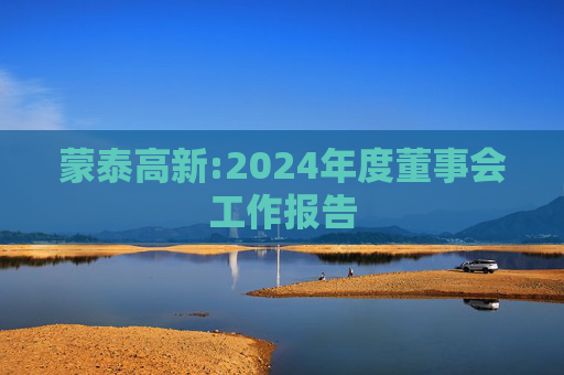 蒙泰高新:2024年度董事会工作报告