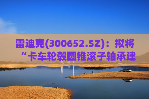 雷迪克(300652.SZ)：拟将“卡车轮毂圆锥滚子轴承建设项目”及“实训中心和模具中心项目”延期至2025年12月31日