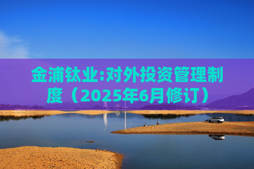 金浦钛业:对外投资管理制度（2025年6月修订）