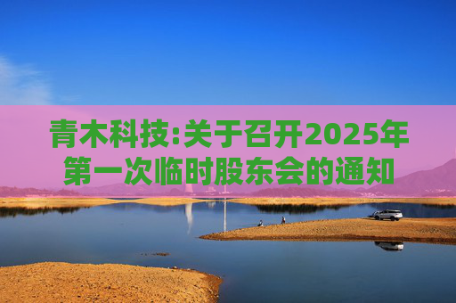 青木科技:关于召开2025年第一次临时股东会的通知