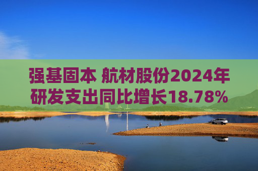强基固本 航材股份2024年研发支出同比增长18.78%