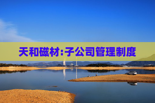 天和磁材:子公司管理制度