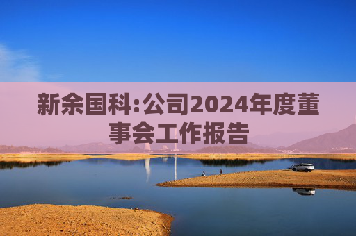新余国科:公司2024年度董事会工作报告