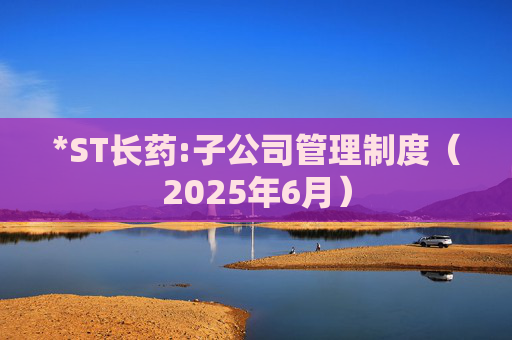 *ST长药:子公司管理制度（2025年6月）