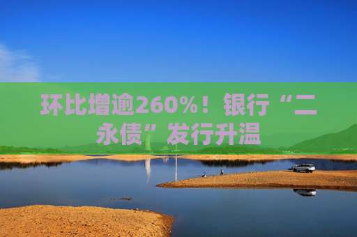 环比增逾260%！银行“二永债”发行升温
