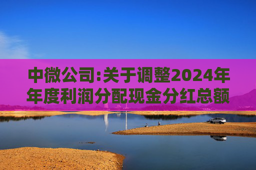 中微公司:关于调整2024年年度利润分配现金分红总额的公告