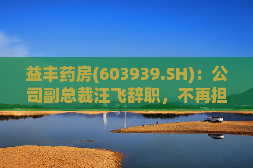 益丰药房(603939.SH)：公司副总裁汪飞辞职，不再担任公司其他职务