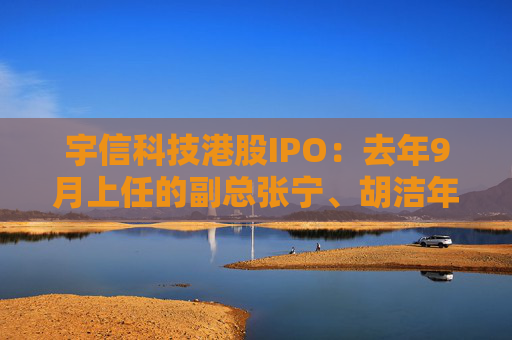 宇信科技港股IPO：去年9月上任的副总张宁、胡洁年薪百万，2015年上任的副总郑春年薪73.5万