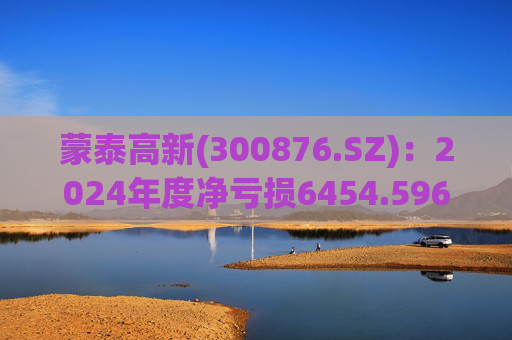 蒙泰高新(300876.SZ)：2024年度净亏损6454.596万元  第1张
