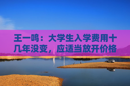王一鸣：大学生入学费用十几年没变，应适当放开价格与工资联动