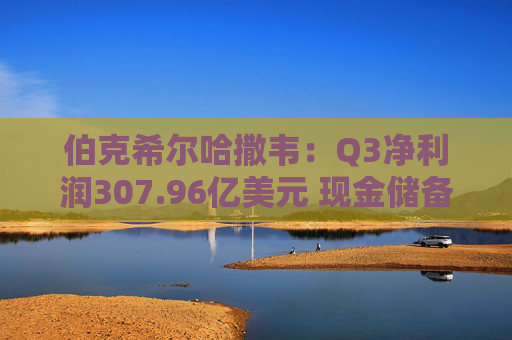 伯克希尔哈撒韦：Q3净利润307.96亿美元 现金储备达3816.7亿美元
