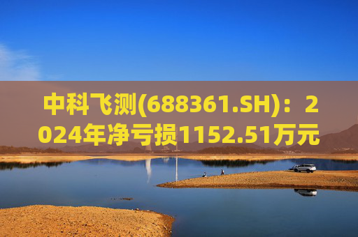 中科飞测(688361.SH)：2024年净亏损1152.51万元