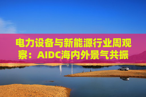 电力设备与新能源行业周观察：AIDC海内外景气共振 储能需求向好发展