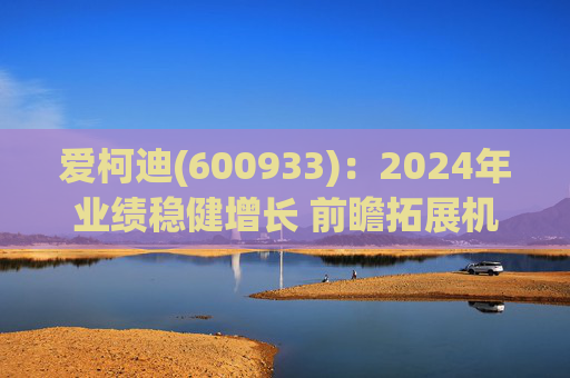 爱柯迪(600933)：2024年业绩稳健增长 前瞻拓展机器人相关业务  第1张