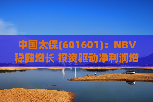 中国太保(601601)：NBV稳健增长 投资驱动净利润增速提升