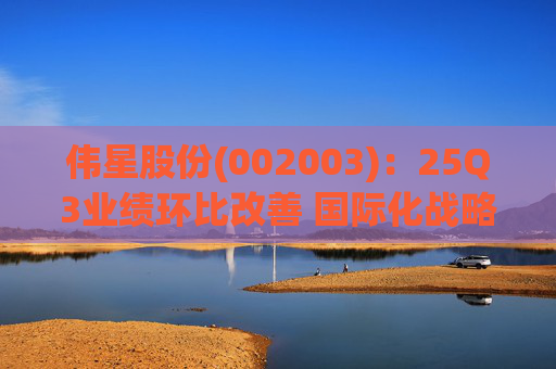 伟星股份(002003)：25Q3业绩环比改善 国际化战略保障成长  第1张