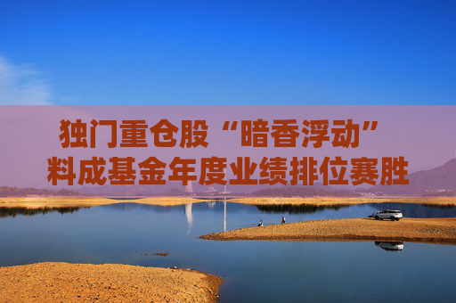 独门重仓股“暗香浮动” 料成基金年度业绩排位赛胜负手
