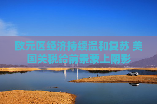 欧元区经济持续温和复苏 美国关税给前景蒙上阴影  第1张