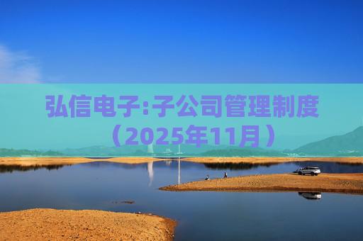 弘信电子:子公司管理制度（2025年11月）  第1张