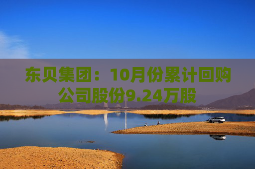 东贝集团：10月份累计回购公司股份9.24万股  第1张