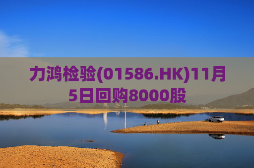 力鸿检验(01586.HK)11月5日回购8000股