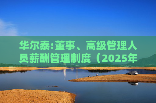 华尔泰:董事、高级管理人员薪酬管理制度（2025年11月）  第1张