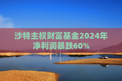 沙特主权财富基金2024年净利润暴跌60%