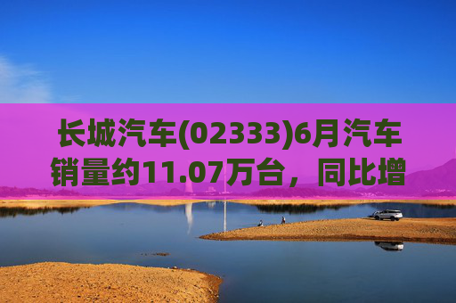 长城汽车(02333)6月汽车销量约11.07万台，同比增长12.86%
