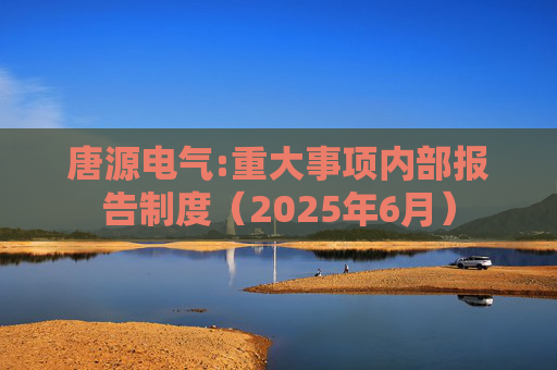 唐源电气:重大事项内部报告制度（2025年6月）