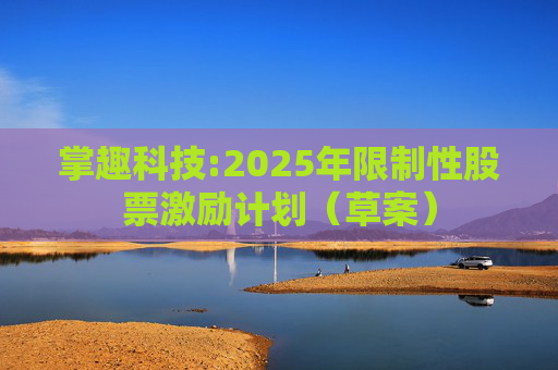 掌趣科技:2025年限制性股票激励计划（草案）