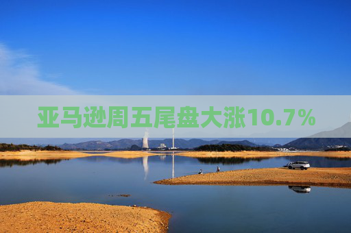 亚马逊周五尾盘大涨10.7%