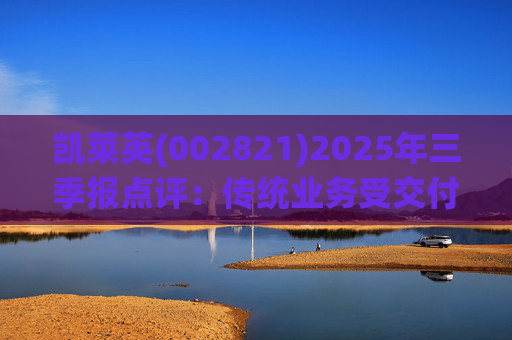 凯莱英(002821)2025年三季报点评：传统业务受交付节奏影响 新兴业务加速放量