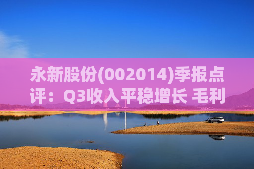 永新股份(002014)季报点评：Q3收入平稳增长 毛利率企稳回升
