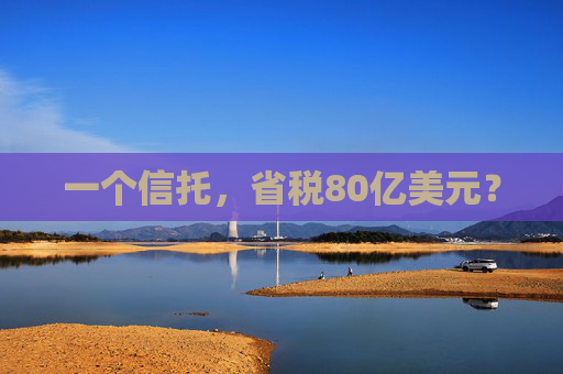 一个信托，省税80亿美元？