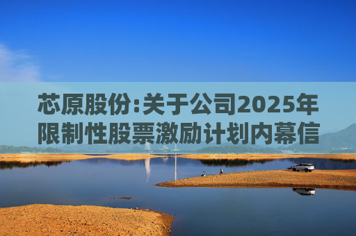 芯原股份:关于公司2025年限制性股票激励计划内幕信息知情人买卖公司股票情况的自查报告