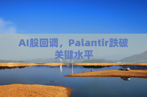AI股回调，Palantir跌破关键水平