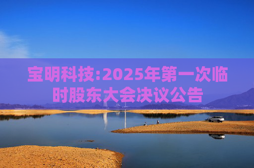 宝明科技:2025年第一次临时股东大会决议公告  第1张