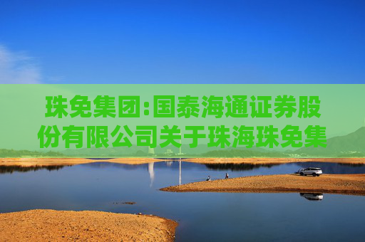 珠免集团:国泰海通证券股份有限公司关于珠海珠免集团股份有限公司重大资产重组前发生业绩异常或本次重组存在拟置出资产情形的专项核查意见
