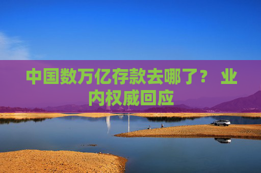 中国数万亿存款去哪了？ 业内权威回应