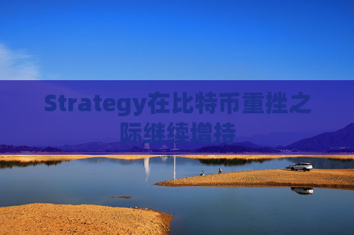 Strategy在比特币重挫之际继续增持