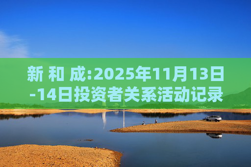 新 和 成:2025年11月13日-14日投资者关系活动记录表