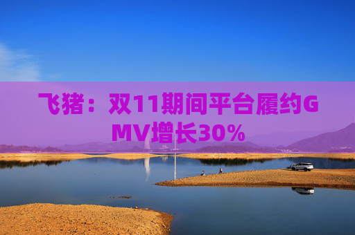飞猪：双11期间平台履约GMV增长30%