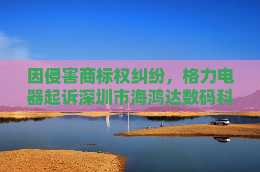 因侵害商标权纠纷，格力电器起诉深圳市海鸿达数码科技有限公司